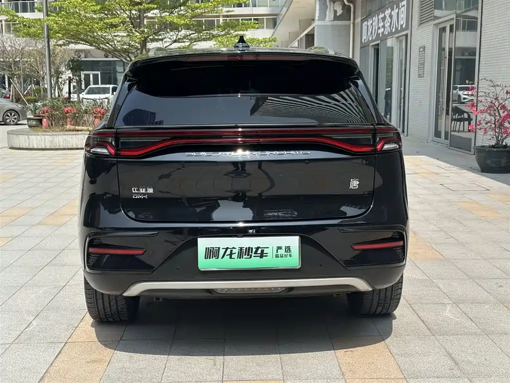 BYD TANGXIN ENERGY