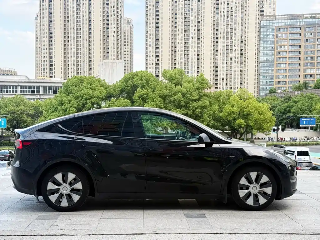 Tesla Model Y — миниатюра 6