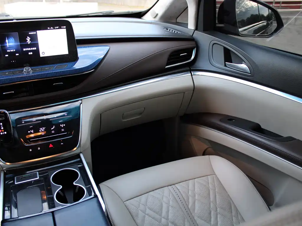 Buick GL8 — миниатюра 18