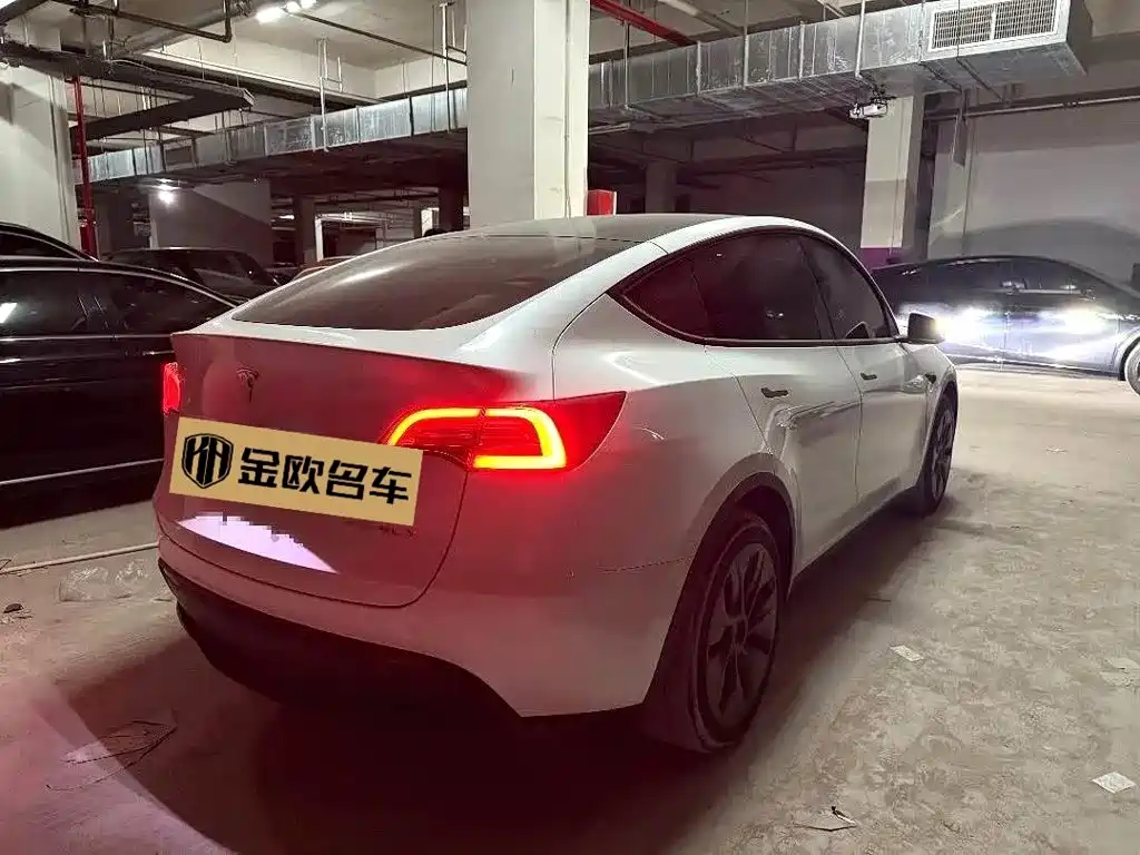 Tesla Model Y — миниатюра 6