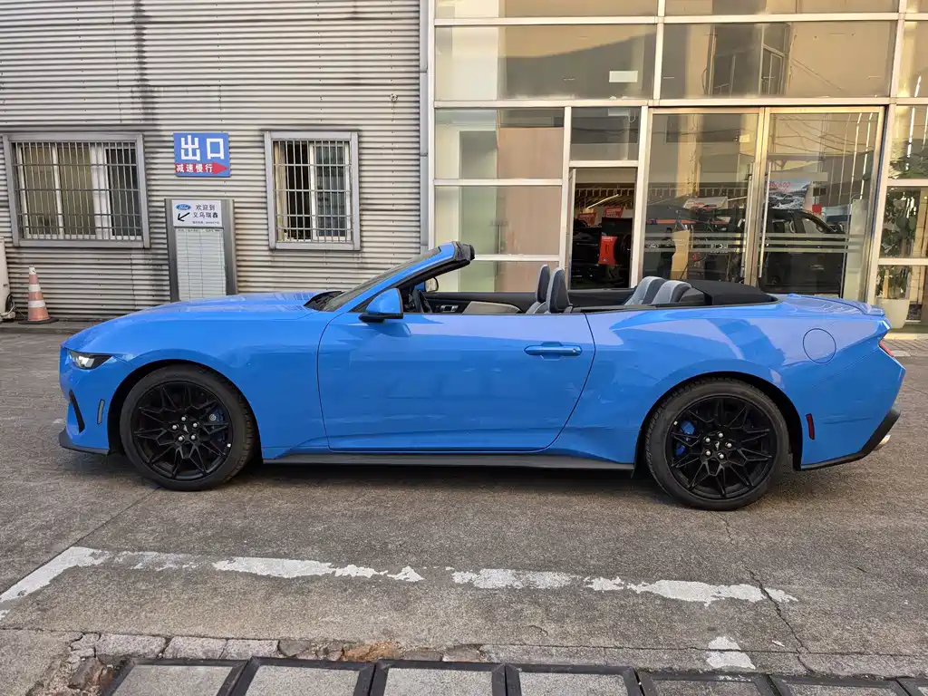 Ford Mustang — миниатюра 12