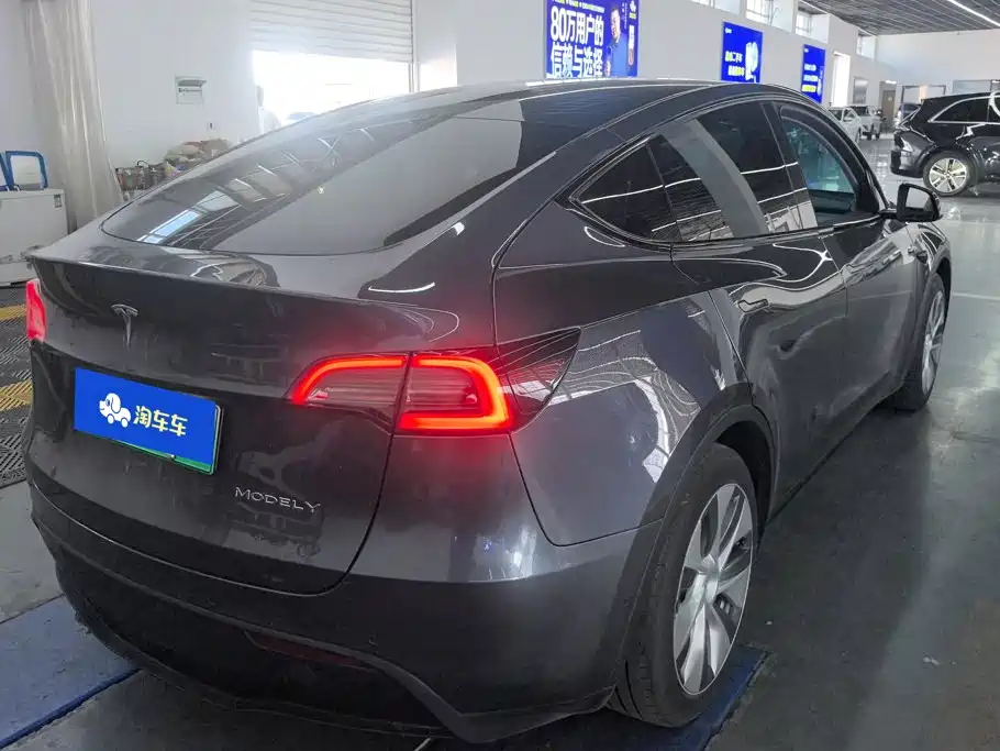 Tesla Model Y — миниатюра 3