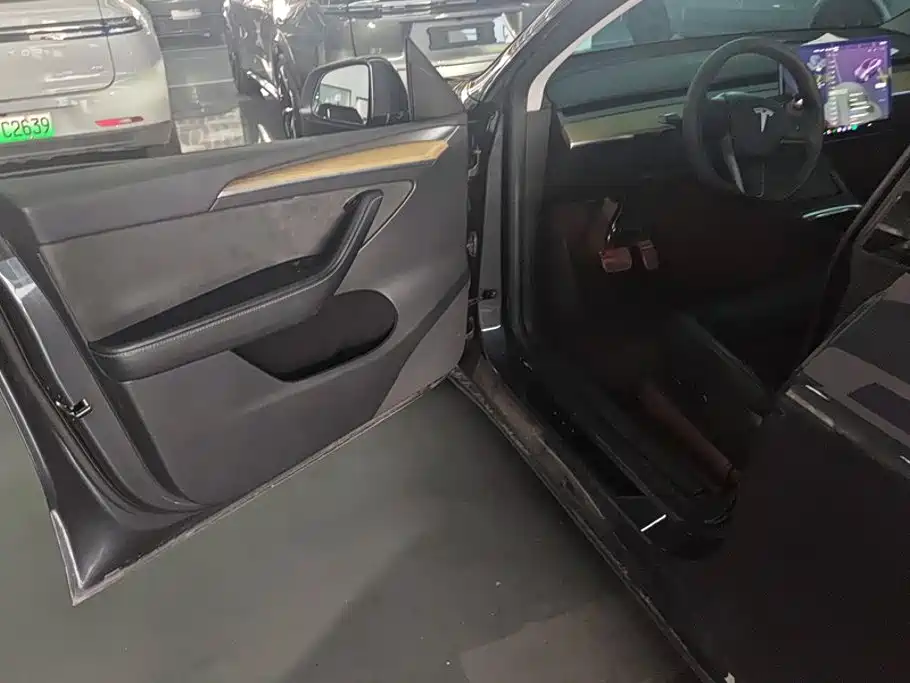 Tesla Model Y — миниатюра 7