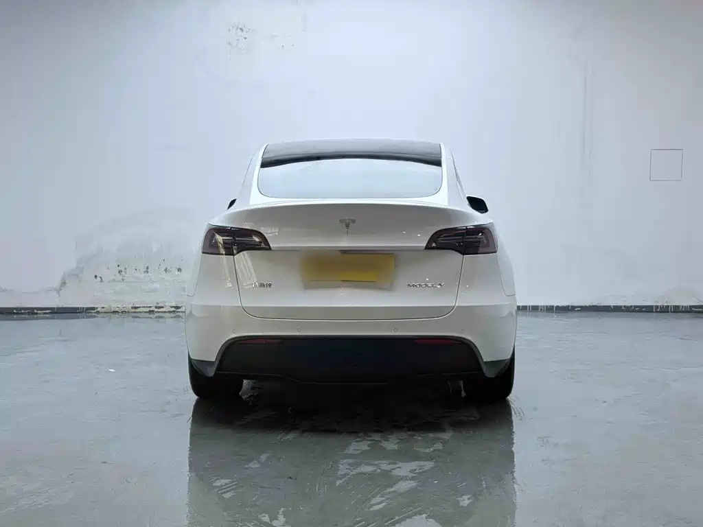 Tesla Model Y — миниатюра 6