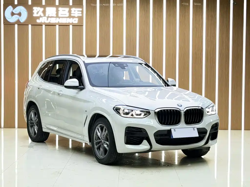 BMW X3 — миниатюра 3