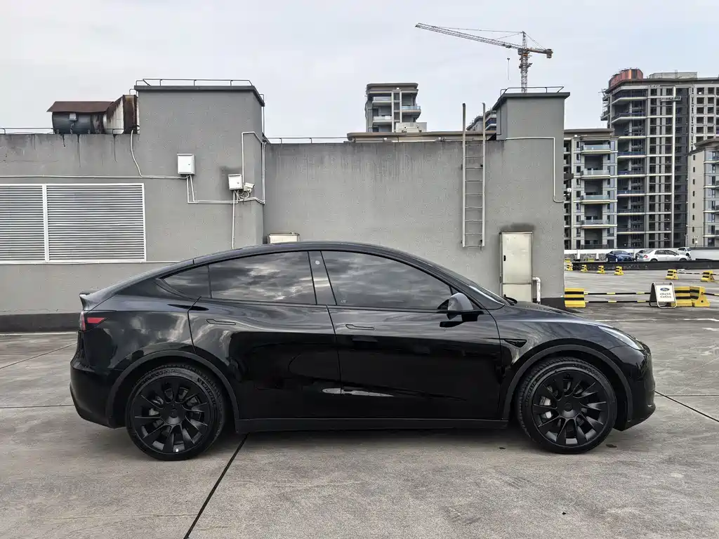 Tesla Model Y — миниатюра 6