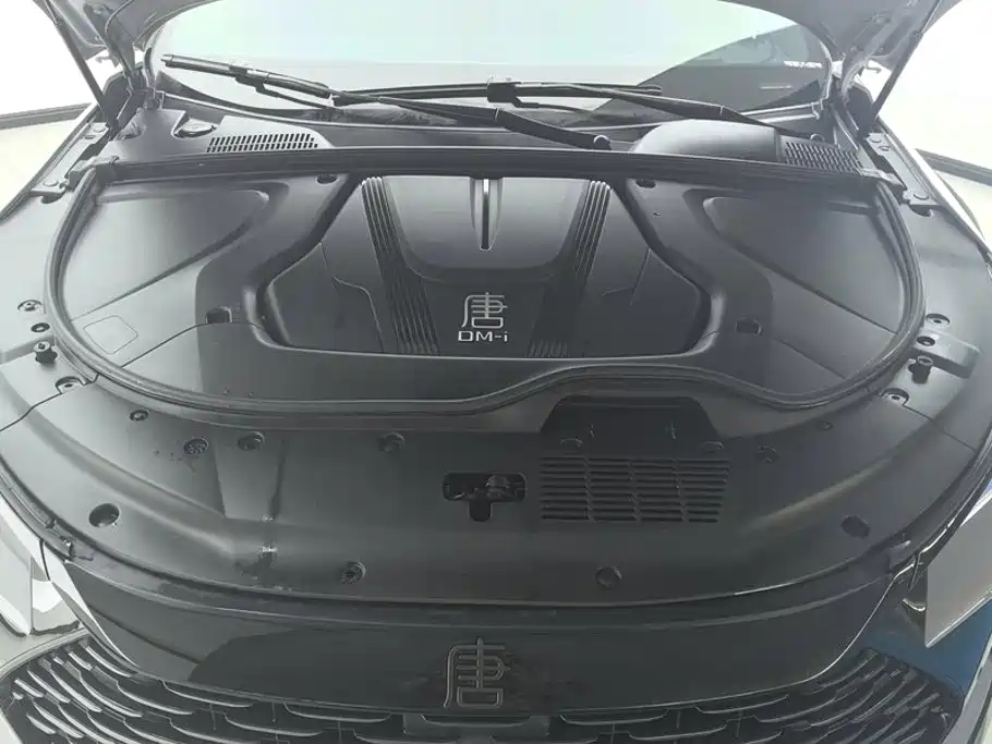 BYD Tang New Energy — миниатюра 10