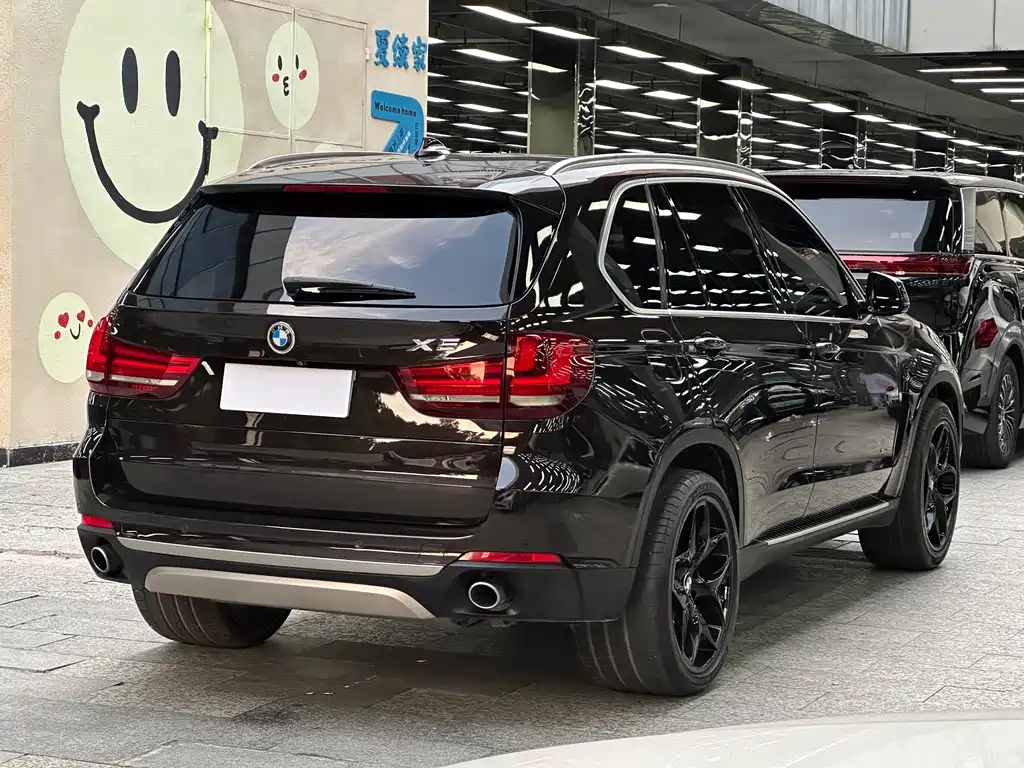 BMW X5 (Import) — миниатюра 16
