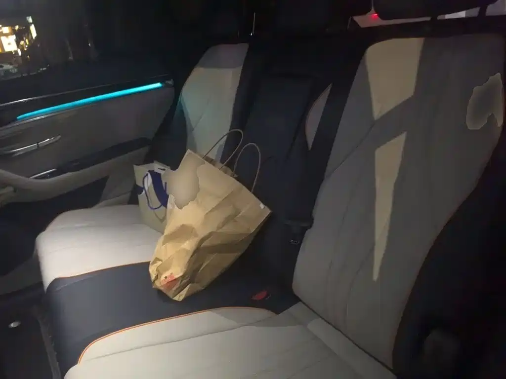 BYD PLUS New Energy — миниатюра 15
