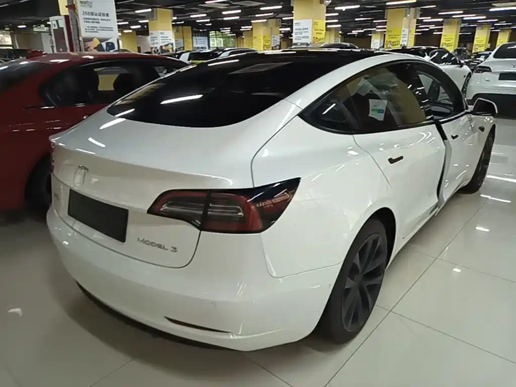 Tesla Model 3 2021 3D1