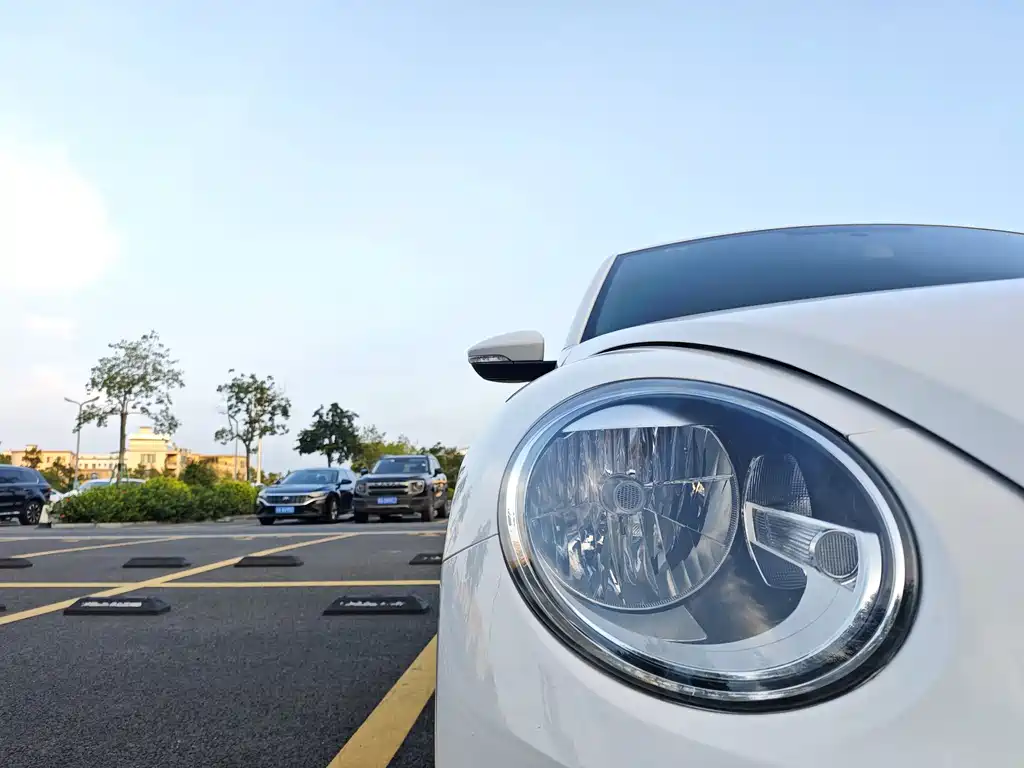 Volkswagen Beetle — миниатюра 18