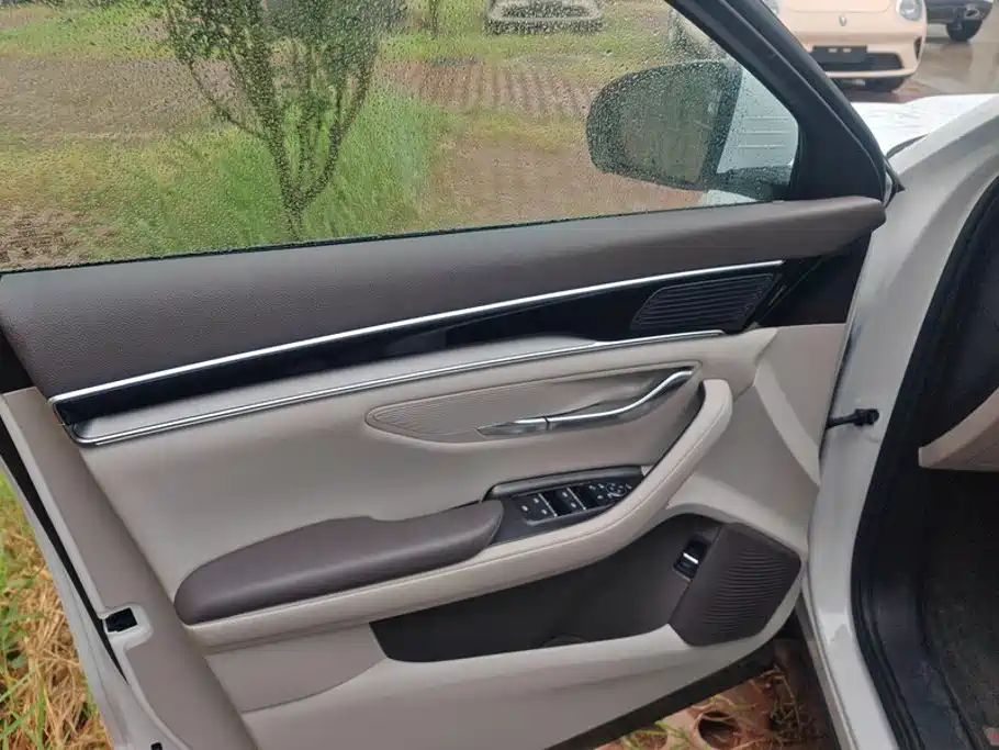 BYD PLUS New Energy — миниатюра 7