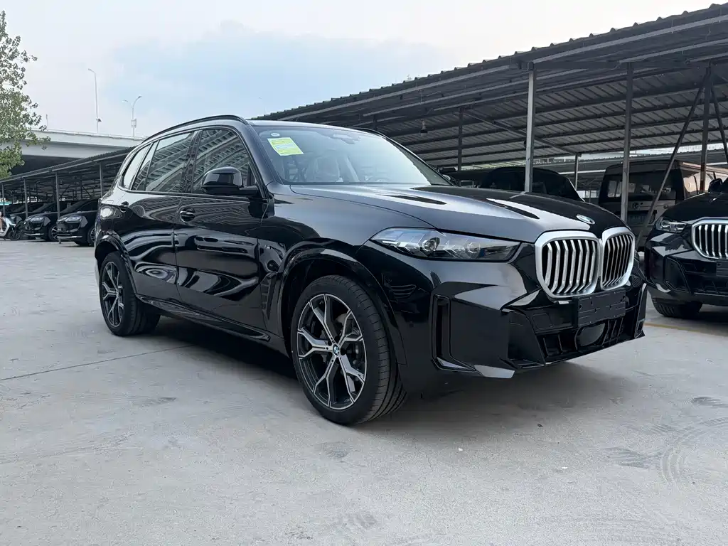 BMW X5 — миниатюра 3