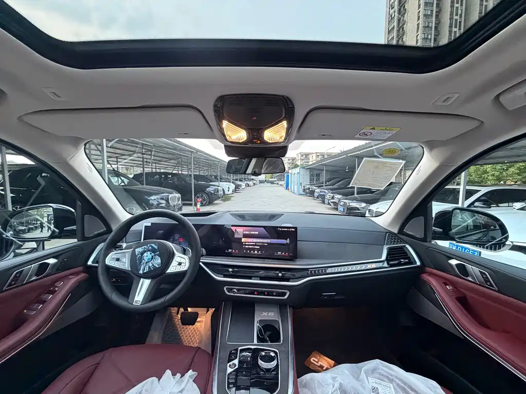 BMW X5 — миниатюра 9