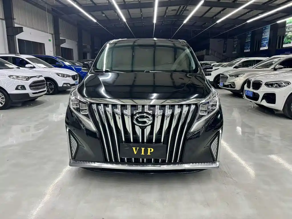 GAC Motor Trumpchi M8 — миниатюра 2