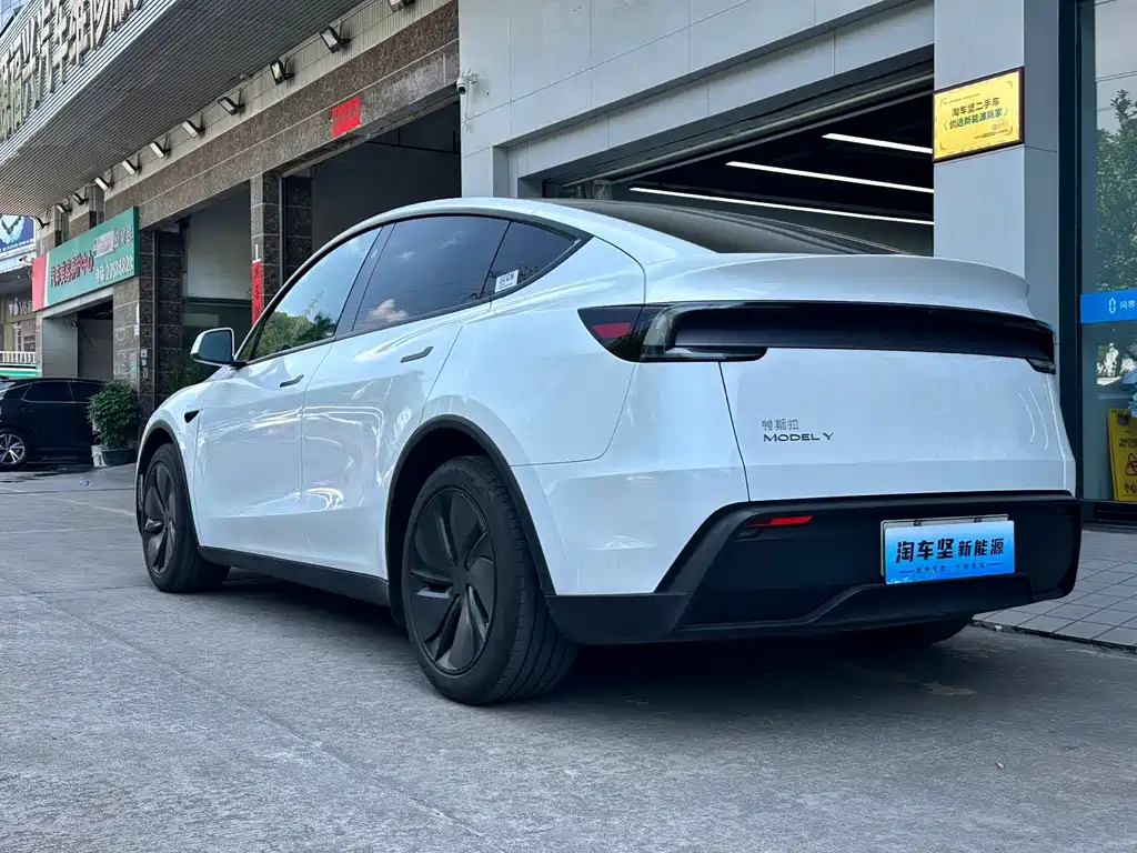 Tesla Model Y — миниатюра 3