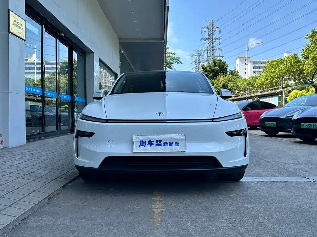 Tesla Model Y — миниатюра 4