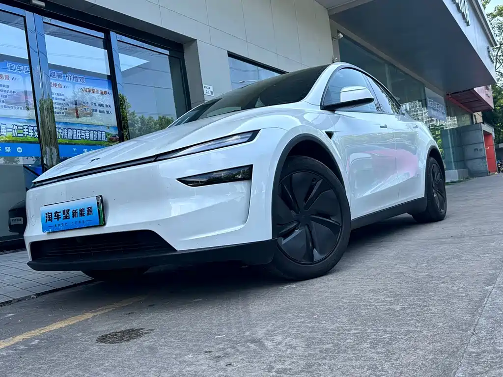 Tesla Model Y — миниатюра 6