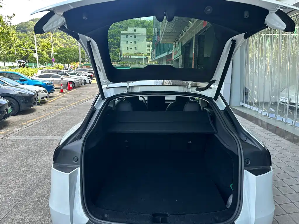 Tesla Model Y — миниатюра 19