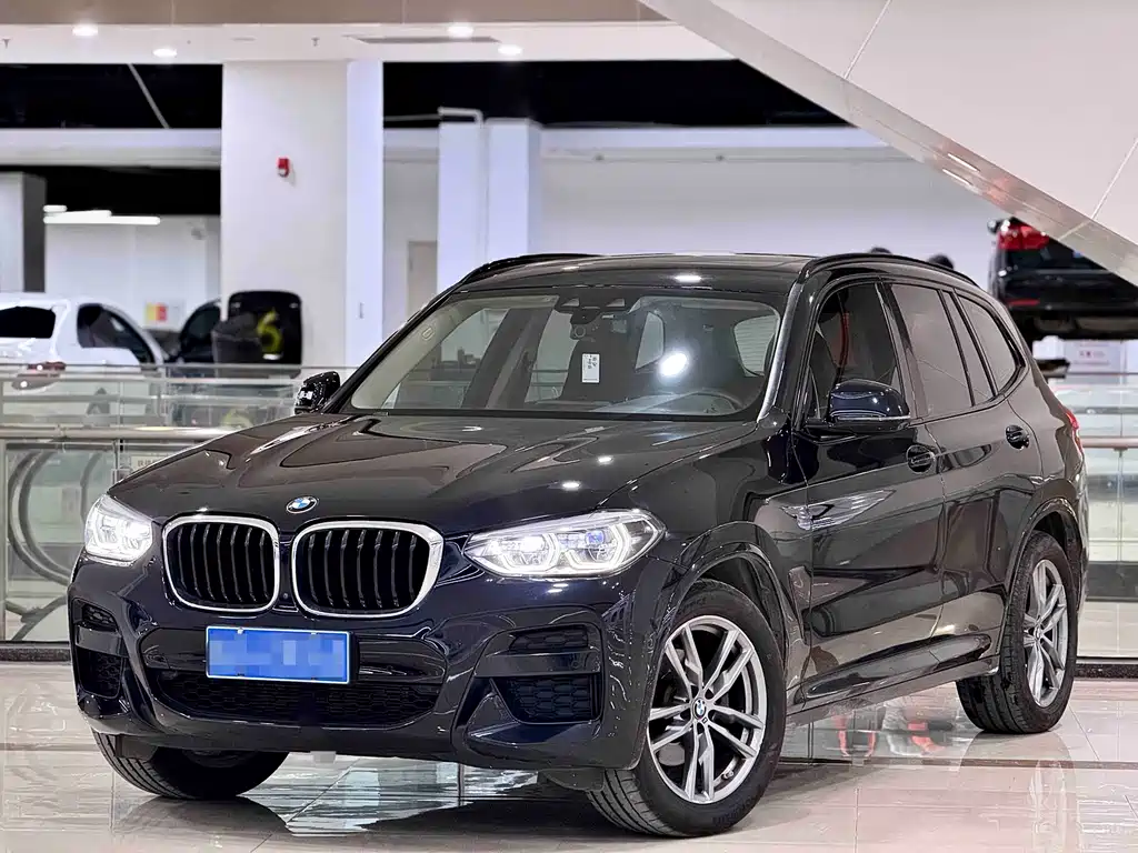 BMW X3 — миниатюра 2