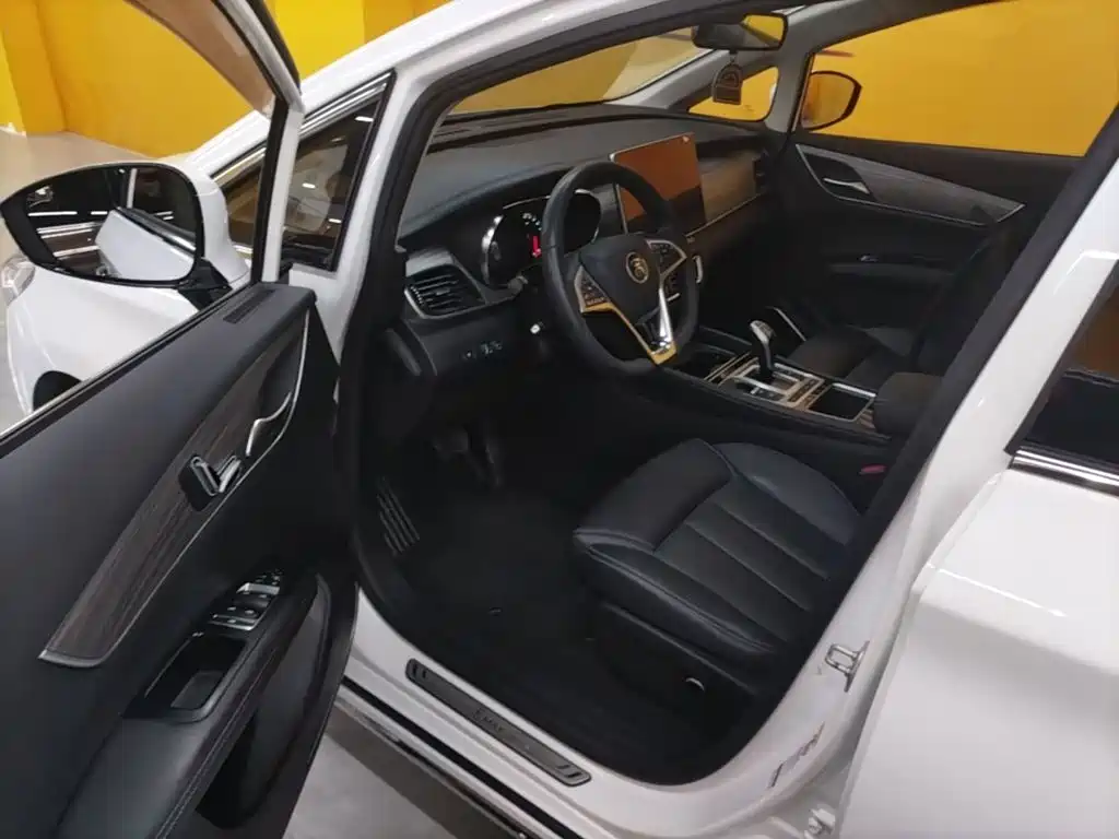 BYD MAX New Energy — миниатюра 16