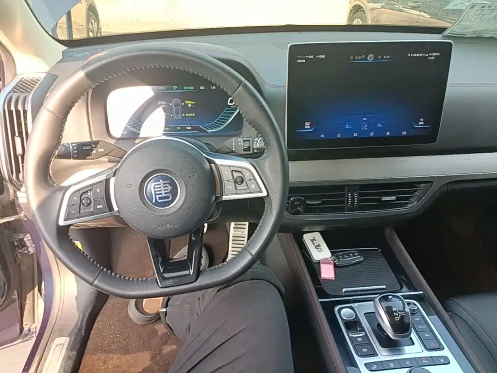 BYD Tang New Energy — миниатюра 10