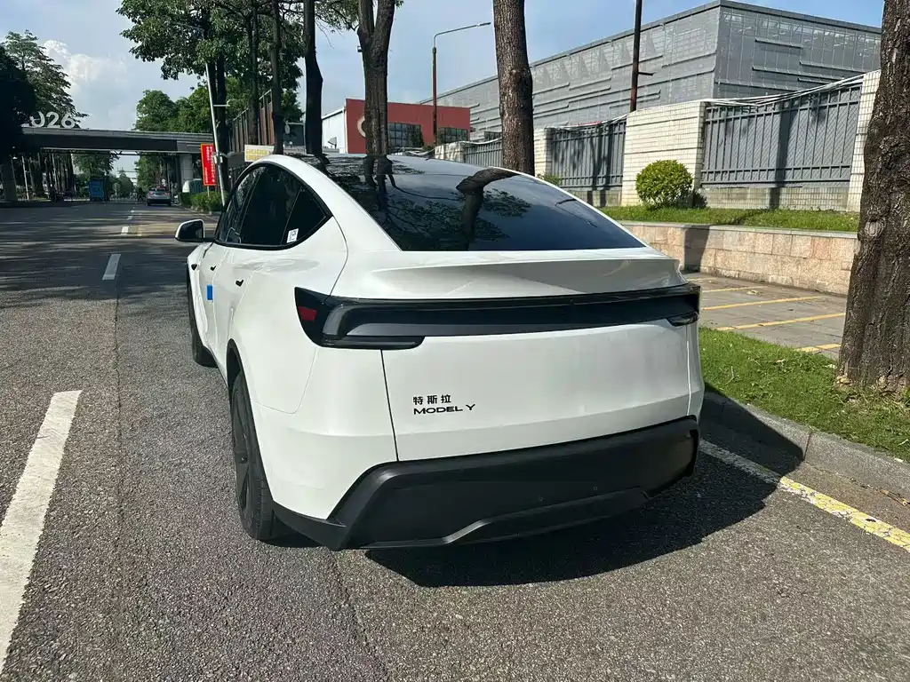 Tesla Model Y — миниатюра 7