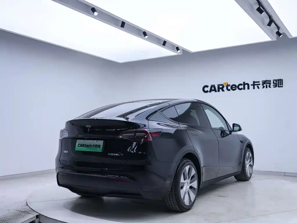 Tesla Model Y — миниатюра 12