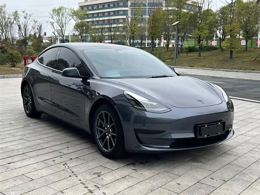 Tesla Model 3 — миниатюра 4