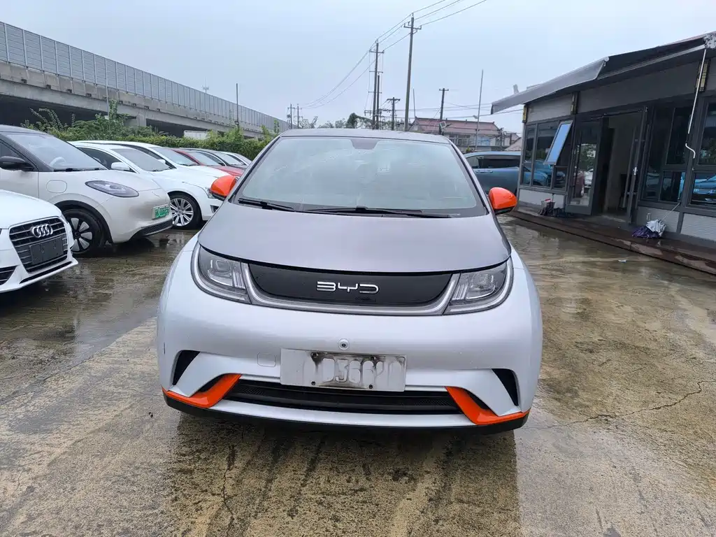 BYD Dolphin — миниатюра 2