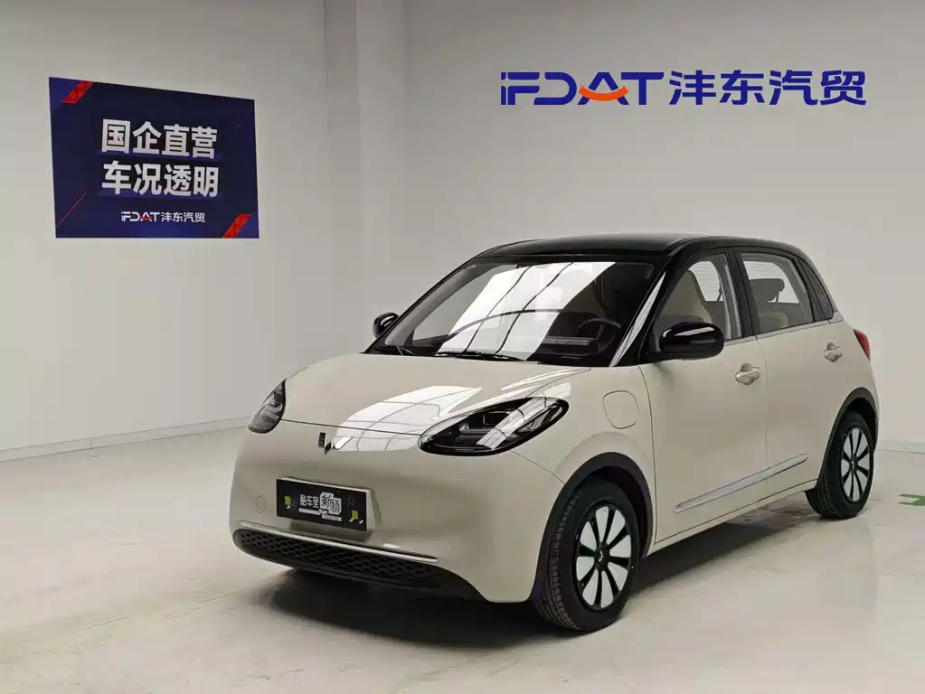 Wuling Binguo 2024 333km Enjoy