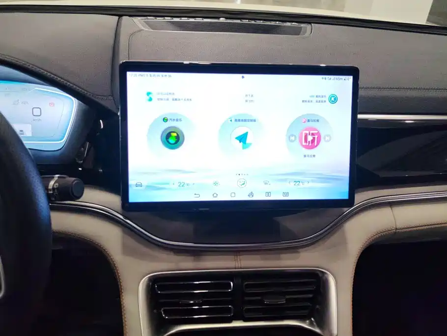 BYD PLUS New Energy — миниатюра 13