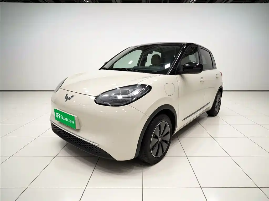 Wuling Bingo 2024