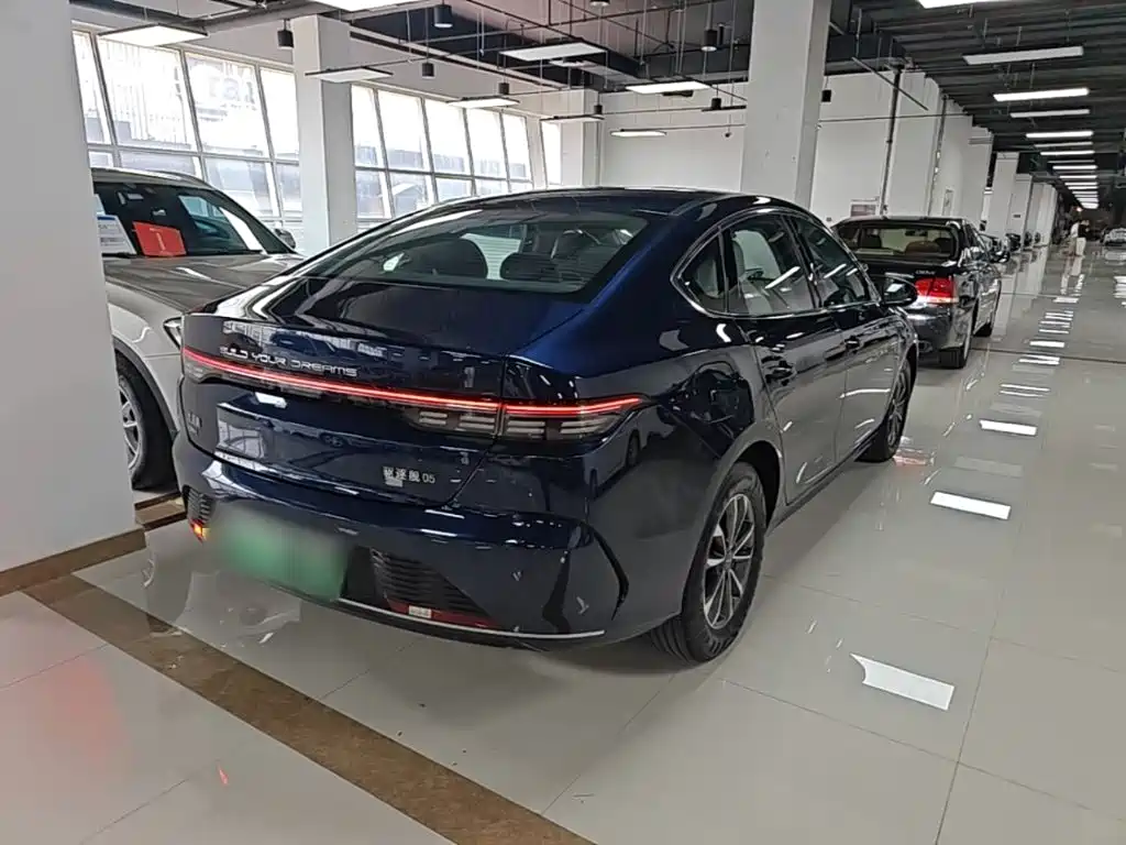 BYD Destroyer 05 2024 DM-i 55KM Luxury