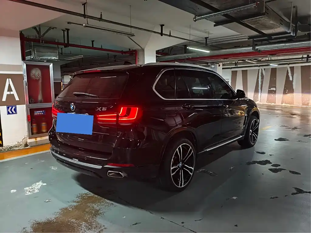BMW X5 (Import) — миниатюра 8