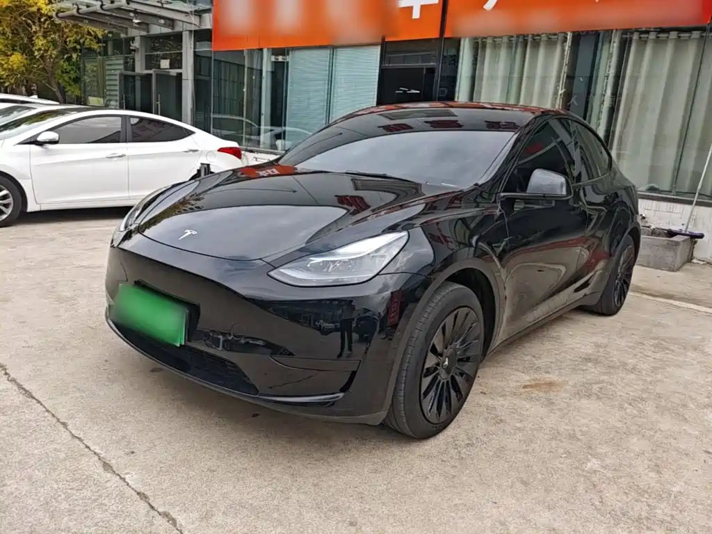 Tesla Model Y — миниатюра 2