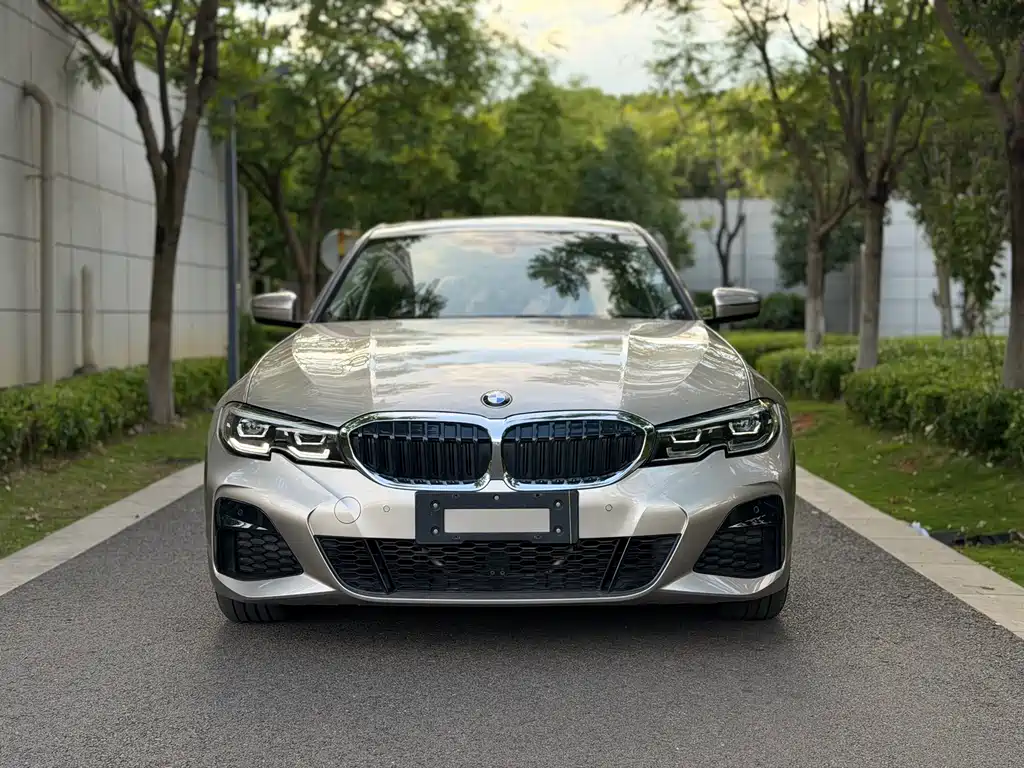BMW 3 Series 3 2020 320Li M Sport