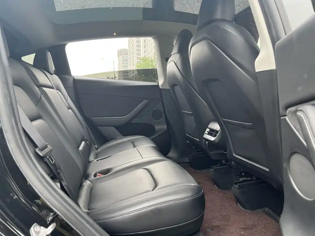 Tesla Model Y — миниатюра 14