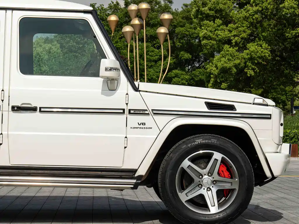 Mercedes-Benz G-Class A MG G AMG 2009 AMG G 55