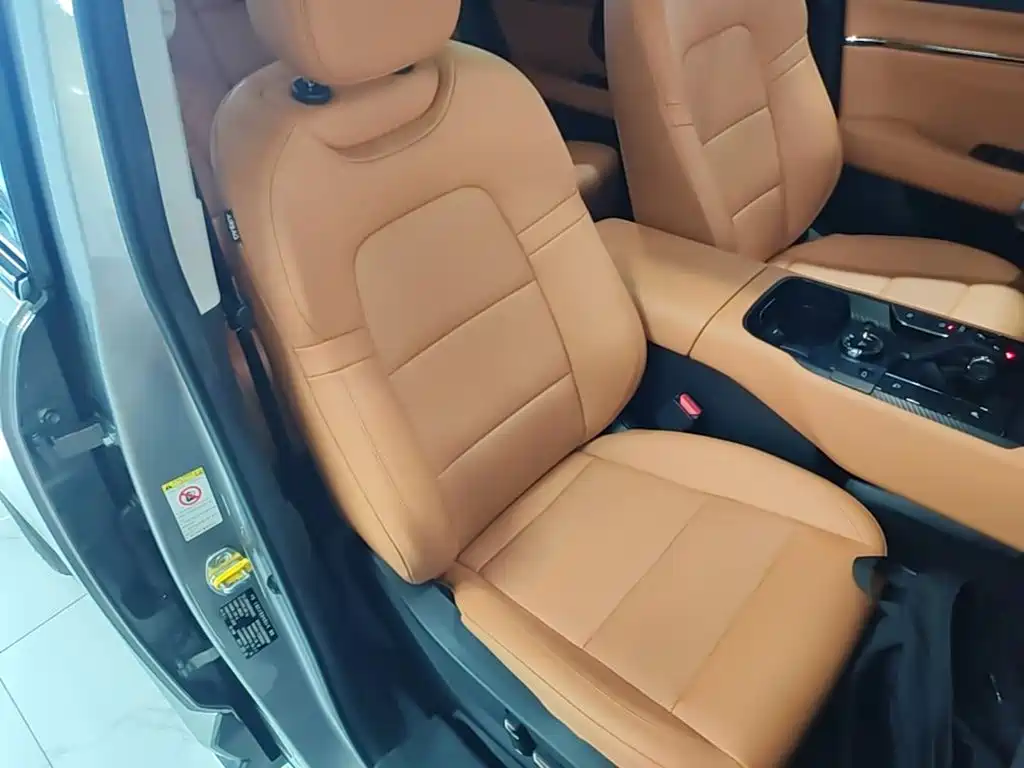 Haval Big Dog PLUS New Energy — миниатюра 25