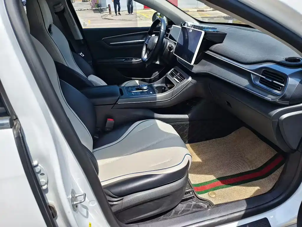 BYD Destroyer 05 2024 DM-i 55KM Luxury
