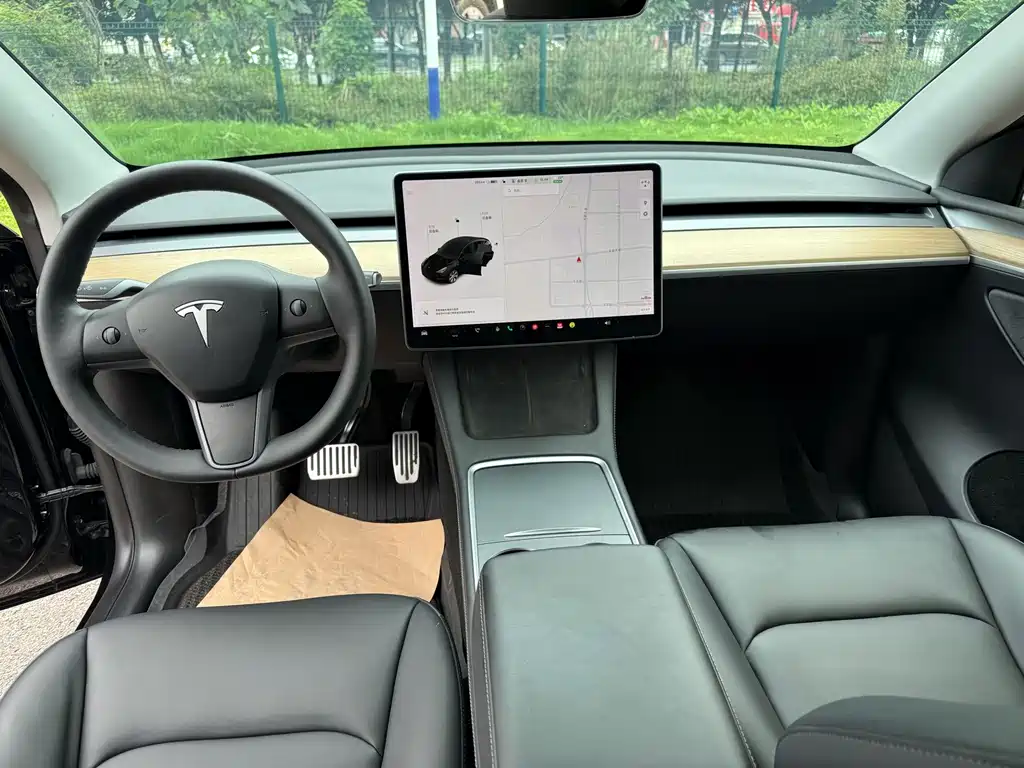 Tesla Model Y — миниатюра 6