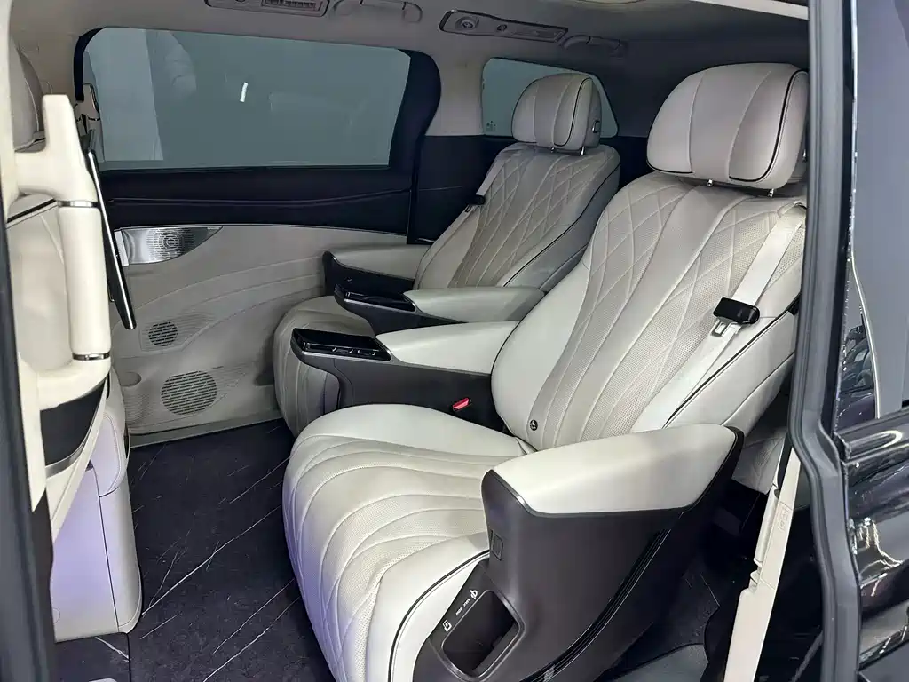 Denza Denza D9 — миниатюра 4