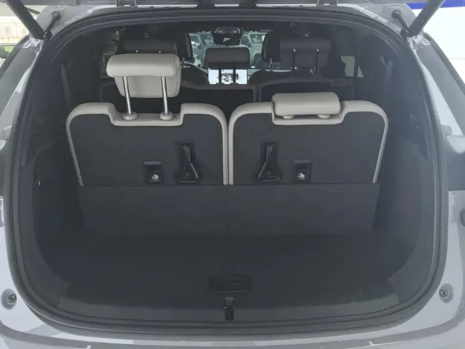 BYD Tang New Energy — миниатюра 4