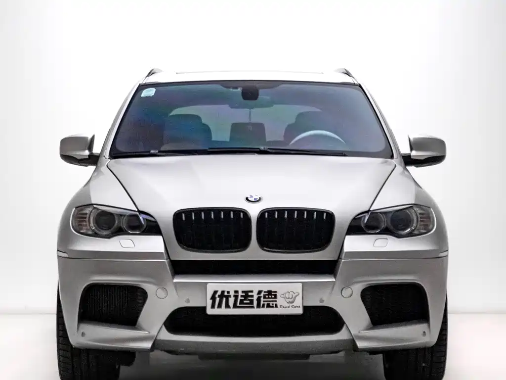 BMW X5 M 2010 X5 M