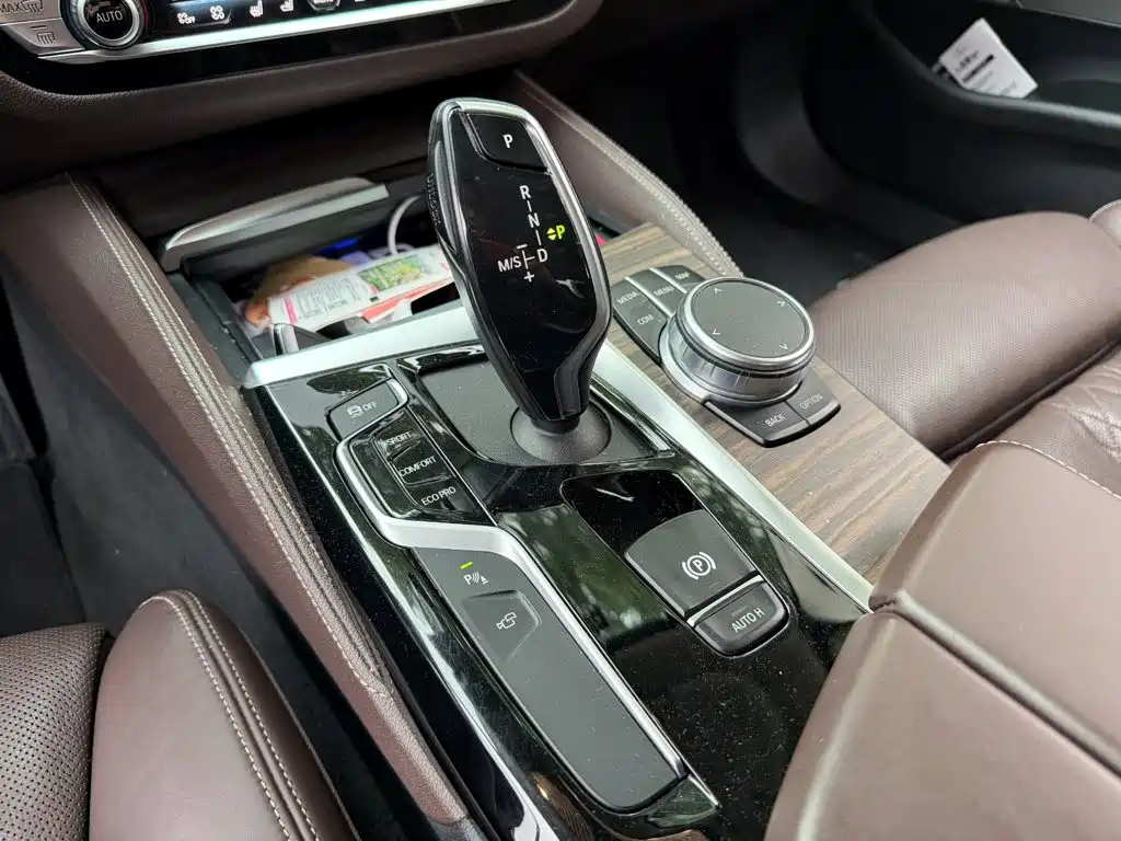 BMW 5 Series 5 2020 530Li Premium Luxury