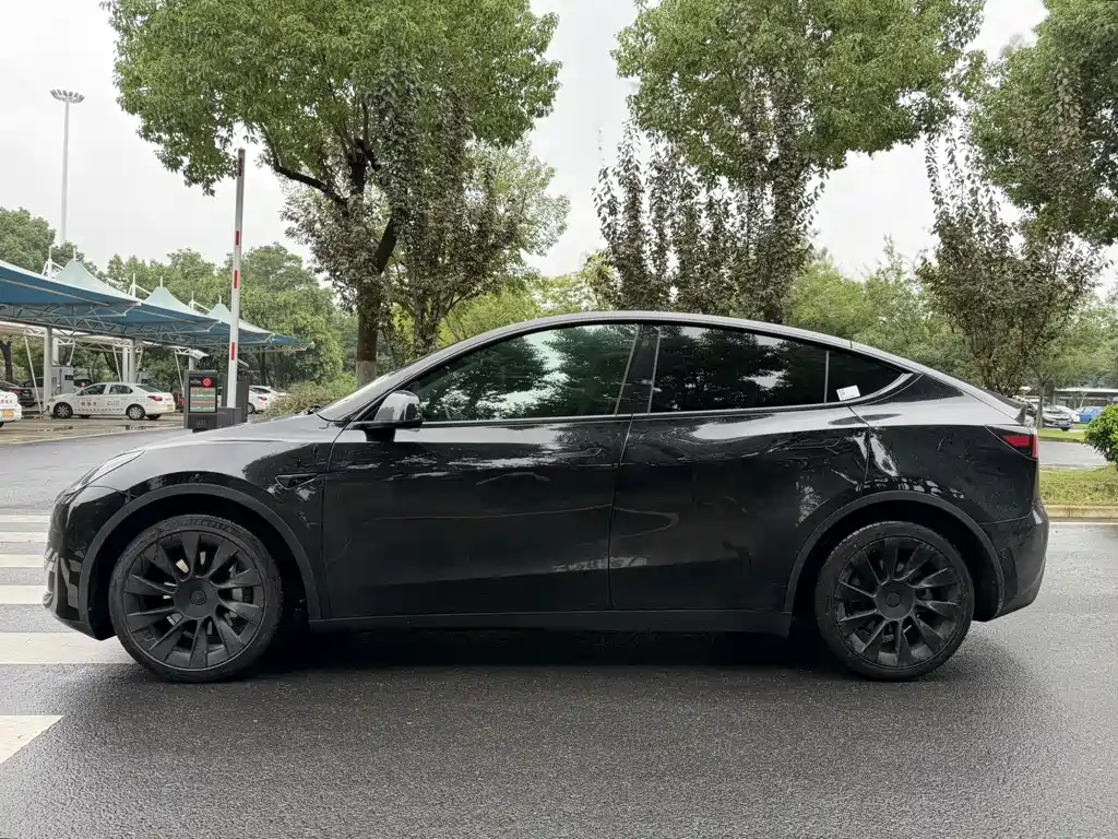 Tesla Model Y — миниатюра 7
