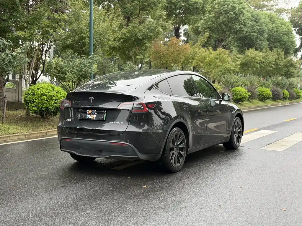 Tesla Model Y — миниатюра 4