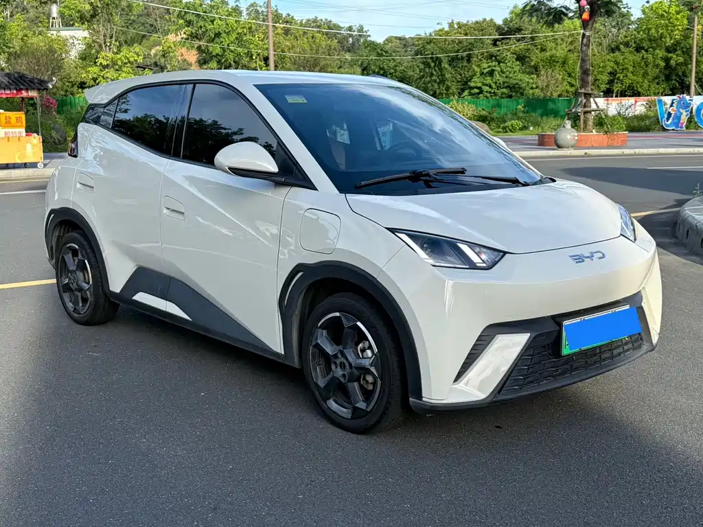 BYD Seagull 2024 305km Freedom