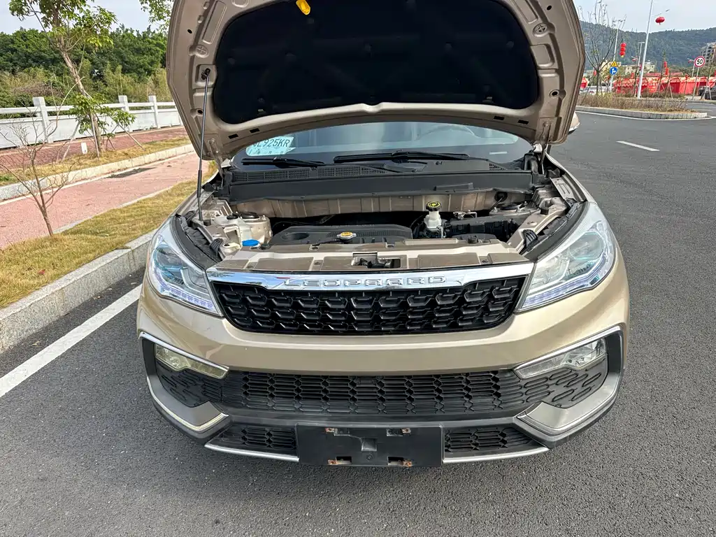 CHEETAH CARS CHEETAH CS9